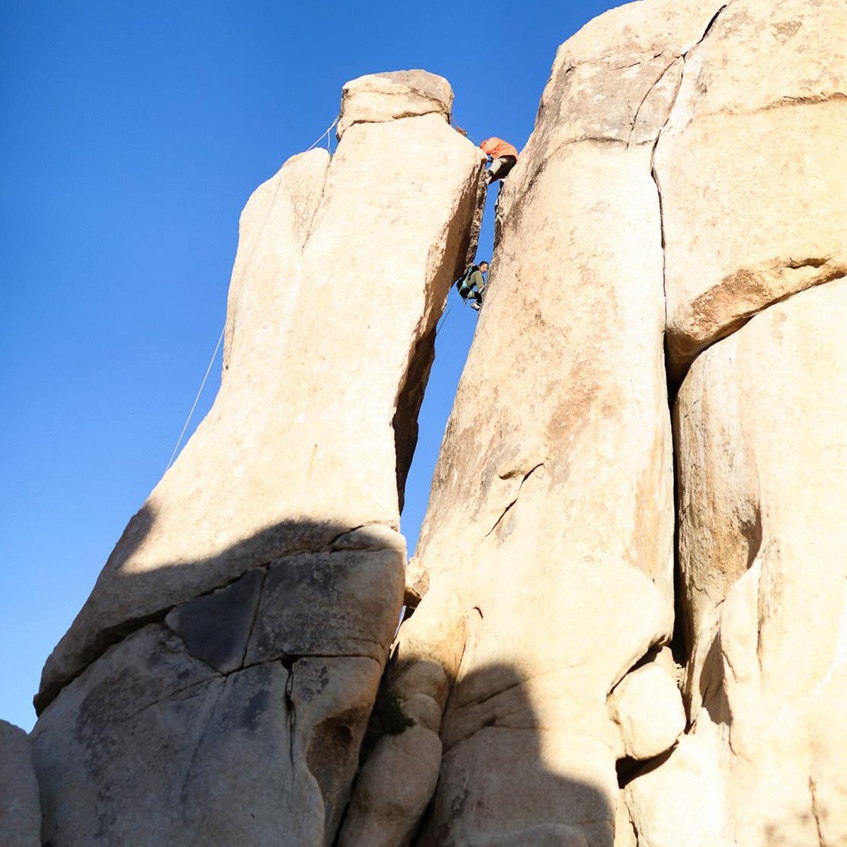 Joshua Tree & Geminids - Dynamite Starfish