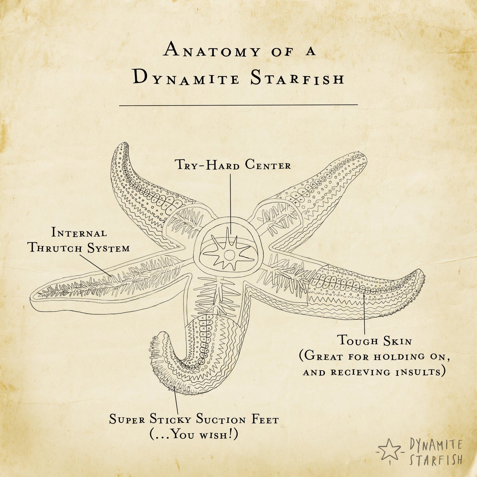 100 Drawings about Climbing — Anatomy of a Dynamite Starfish - Dynamite Starfish