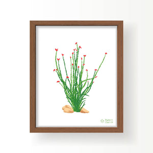 rock climbing t-shirts gifts - Art prints-Ocotillo — 8x10" Art Print - Dynamite Starfish - gift for climber