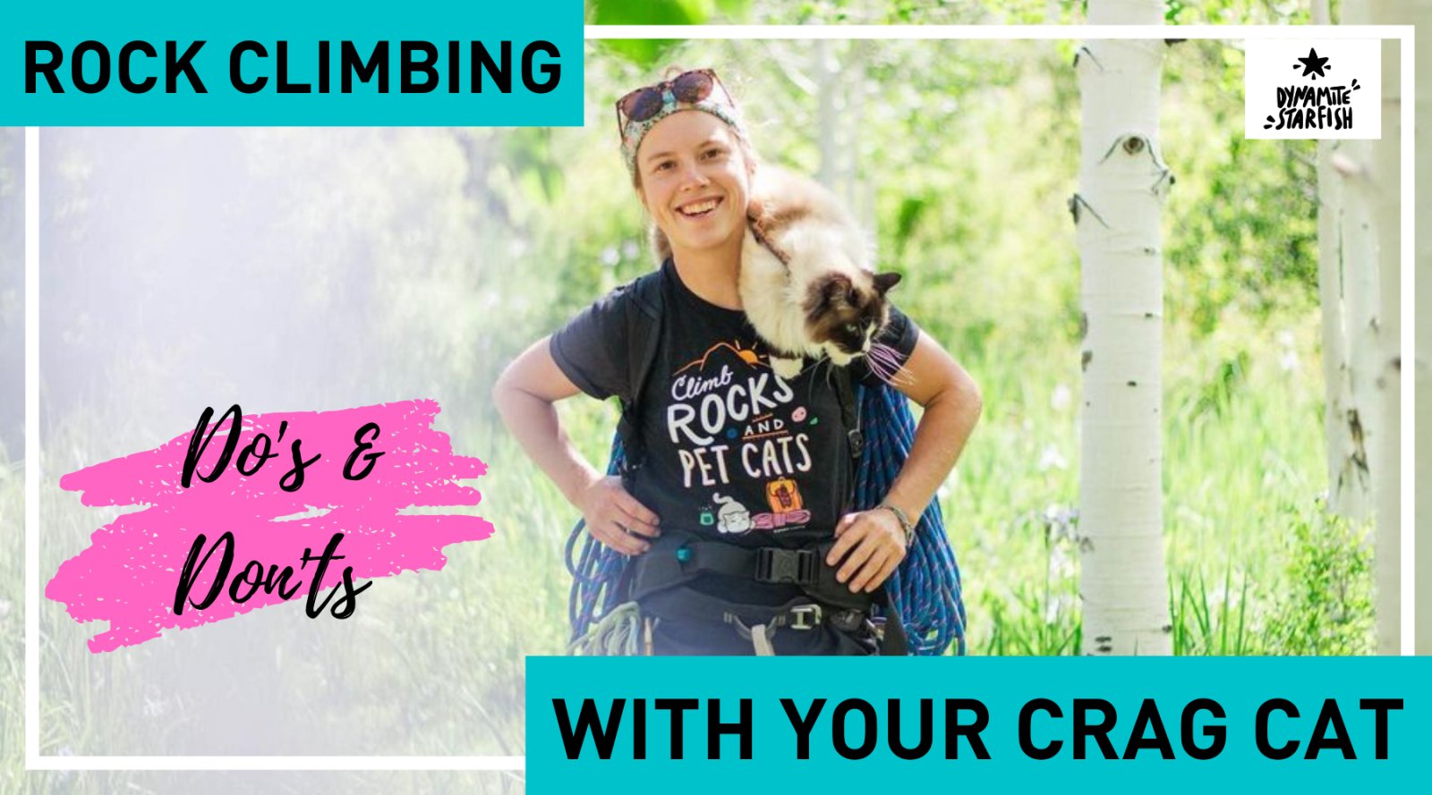 7 Crag Cat Do's and Don'ts: Bringing Your Cat Rock Climbing - Dynamite Starfish