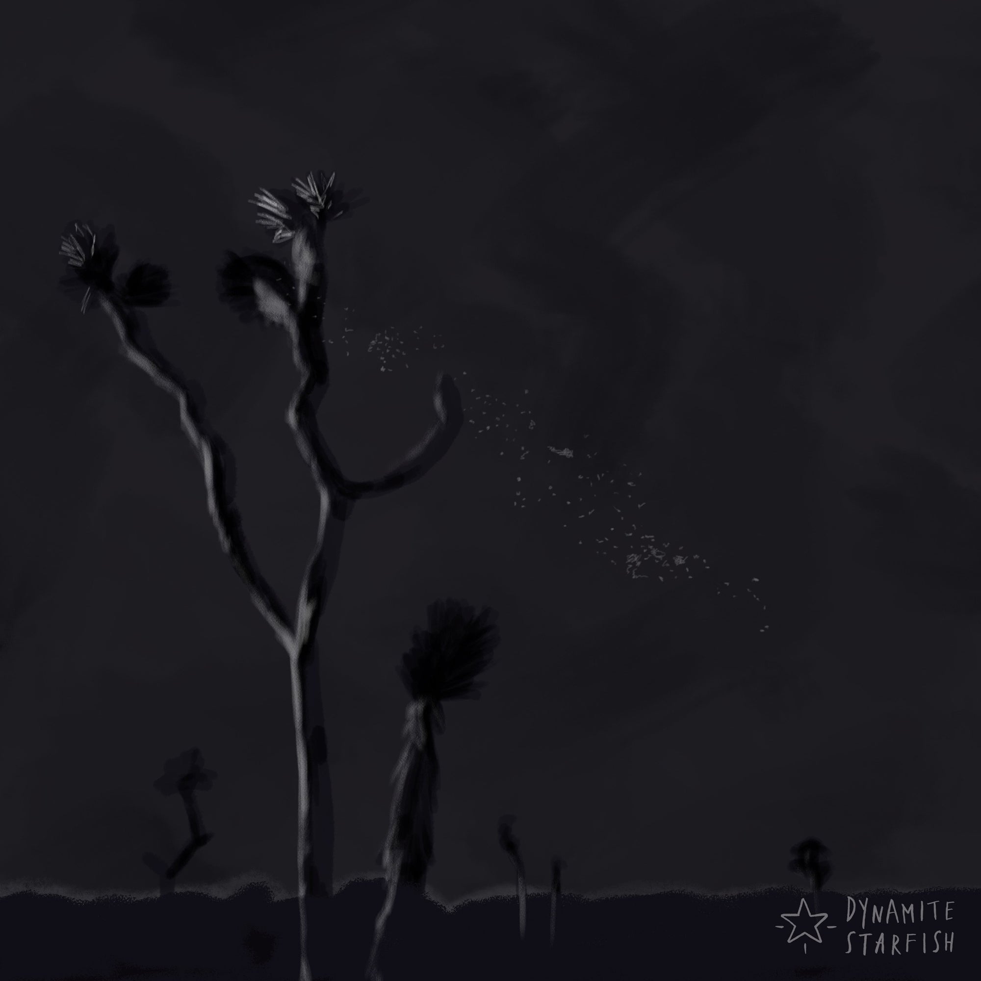 100 Drawings about Climbing — The Blackest Night in Joshua Tree - Dynamite Starfish