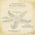 100 Drawings about Climbing — Anatomy of a Dynamite Starfish - Dynamite Starfish