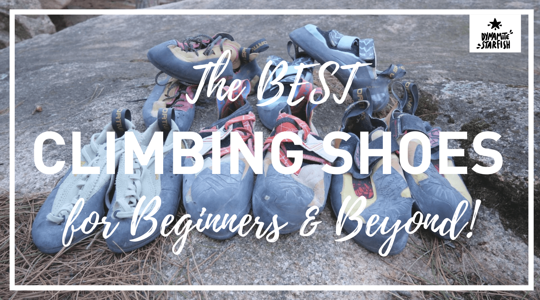 The Best Climbing Shoes for Beginners...and Beyond! | Dynamite Starfish